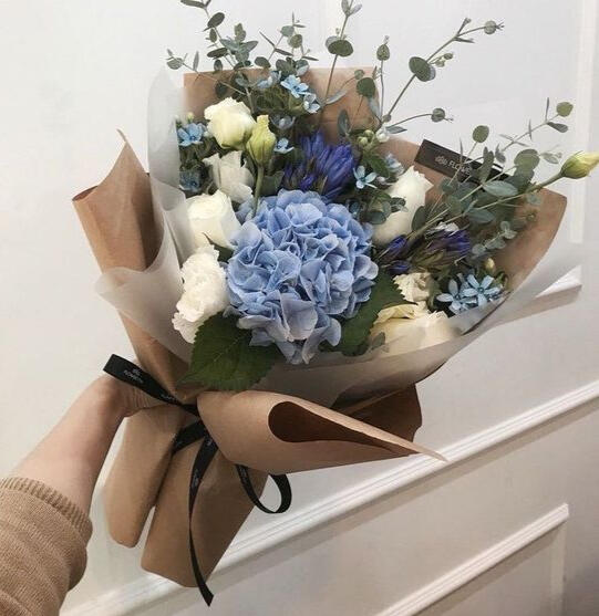 𝑊𝑜𝑛𝑑𝑒𝑟𝑙𝑎𝑛𝑑