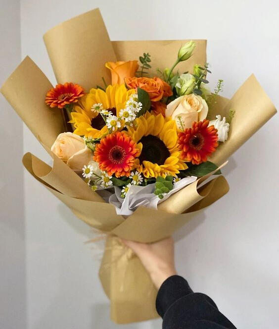 ๐๐ข๐๐๐ฆ ๐ธ๐๐๐๐๐๐