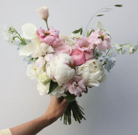 ๐ต๐๐๐ ๐ ๐๐ข๐ ๐ต๐๐๐๐