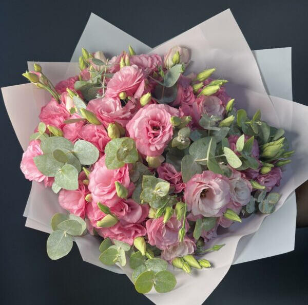 ๐๐๐๐ ๐๐๐ก๐๐ ๐๐๐๐๐๐๐ก๐ฆ